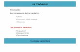 Traduzione II Schoeftner - Moodle@Units · La iniziazione della traduzione Procarioti The initiator tRNA/tRNAiniziatore àFirst aminoacid in procaryoticproteins is N-formylmethionine