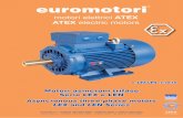 euromotori - theissdrive.com · - IEC EN 60034-1 Macchine elettriche rotanti - Caratteristiche nominali e di funzionamento - IEC EN 60034-5 gradi di protezione degli involucri delle