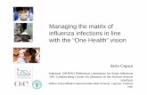 Managing the matrix of influenza infections in line with ... · Managing the matrix of influenza infections in line with the “One Health” vision ... Slide credit Ron Fouchier,