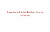 Leucemia Linfoblastica Acuta (adulto) - Siematologia · 2015-12-29 · Immunofenotipo (citometria a flusso: linea linfoide (CD13-; ... Su sangue periferico: ... Su agoaspirato midollare: