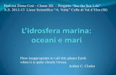 Prof.ssa Elena Cosi - Classe 3D Progetto “See the Sea Life ... · Morfologia e classificazione delle coste In base al profilo costiero e alla sua morfologia è possibile classificare