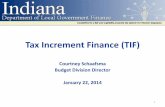 Tax Increment Finance (TIF) - in.gov · •Tax Increment Financing (TIF) is a government finance mechanism for development and redevelopment which captures increases in taxable assessed