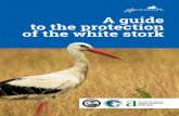 A guide to the protection of the white stork - Ptasi Azylptasiazyl.zoo.waw.pl/sites/default/files/repozytorium/ptop... · Ad hoc interventions – Agnieszka Czujkowska, Adam Olszewski,