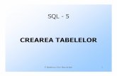 CREAREA TABELELOR - andrei.clubcisco.roandrei.clubcisco.ro/cursuri/3bd/fr/SQL5.pdf · TIPURI DE DATE (2) Aceste tipuri, cu unele diferenţe în ceea ce priveşte dimensiunea maximă