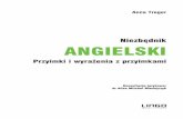 Niezbędnik ANGIELSKI - gandalf.com.pl · językowych Wydawnictwa Lingo (więcej informacji na ). Rozwinięcie zagadnień poruszanych w tej książce czytelnicy znajdą m.in. w pozycjach