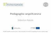 Sebastian akuła - doktorat.xn--pook-11a.pldoktorat.połok.pl/SEP/14Z/Dydaktyka i pedagogika/Pedagogika2.pdf · Kultura popularna jako czynnik socjalizacji •Socjalizacja – spontaniczne