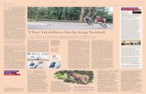 composite FT160116UK 1106 WKD - Electric Mountain Bikes · 6 ★ FTWeekend 16 January/17 January 2016 Travel POSTCARD FROM... ZAMBIA O bjectively it is the merest pimple of a mountain,