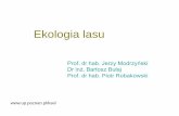 Ekologia lasu - up.poznan.pl Modrzyński/1 EL r... · (komórka, osobnik, populacja, biocenoza, ekosystem, krajobraz, biosfera). 2. LAS JAKO SYSTEM EKOLOGICZNY (przykłady procesów