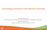 Estimating emissions from Biomass Burning - GWSP · Estimating emissions from Biomass Burning Riccardo Biancalani Monitoring and Assessment of GHG Emissions and Mitigation Potentials