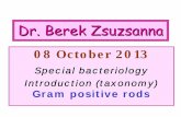 Dr. Berek Zsuzsanna - Semmelweis Egyetemsemmelweis.hu/mikrobiologia/files/2014/05/FGM_2013-2014-1-05_.pdf · Dr. Berek Zsuzsanna 08 October 2013 Special bacteriology Introduction