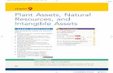 Chapter 9 Plant Assets, Natural Resources, and …myresource.phoenix.edu/secure/resource/XACC291R1/...396 Chapter Plant Assets, Natural Resources, and Intangible Assets After studying