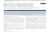 Management of the Incidental Renal Mass on CT: A White … · The ACR Incidental Findings Committee (IFC) presents recommendations for renal masses that are incidentally detected