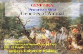 GENETIKA: Pewarisan Sifat Genetics of Animal · 1 Pembukaan: Sejarah dan Perkemb. Genetika, HK Mendel : Pewarisan Monohibrid 2. Pewarisan dihibrid, penyimpangan HK Mendel 3. Materi