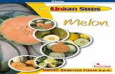 Melon - UnigenSeedsItaly ENunigenseedsitaly.com/.../uploads/sites/3/2017/09/Catalogo-MELON.pdf · • “A new proposal and taste for Europe market”. HR*/IR*: Fom0,2; PM • “Netted