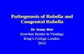Pathogenesis of Rubella and Congenital Rubella - sabin.org · Rubella Cell mediated immune responses (1) •Decrease in total leucocytes, neutrophils and T cells. •Transient depression