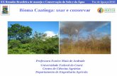 Bioma Caatinga: usar e conservar - NEPAR - SBCS RBMCSA... · Bioma Caatinga –Vegetação Classes de vegetação Sav. Estépica Arborizada 29 Savana Estépica 22 Agric./Sav. Estép.