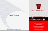 Public Expose - Indonesia Public Expose.pdf · Public Expose KANTOR PUSAT Jl. Industri No. 5 P.O. Box 14 Cilegon, Banten 42435 Telepon : (+62 254) 392159, 392003 (Hunting) Faksimili
