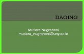 Mutiara Nugraheni mutiara nugraheni@uny.acstaff.uny.ac.id/sites/default/files/pendidikan/dr-mutiara... · Ditentukan kandungan jaringan ikat ; umur hewan 2. ... konsistensi padat
