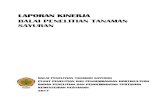 LAPORAN KINERJA BALAI PENELITIAN TANAMAN SAYURANbalitsa.litbang.pertanian.go.id/ind/images/LAKIP/lakin... · 2018-05-31 · Penelitian Tanaman Sayuran edisi revisi 1 yang merupakan