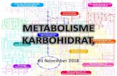 METABOLISME KARBOHIDRAT, - umpalangkaraya.ac.id file• Jalur ini merupakan konversi glukosa menjadi asam lemak dan ... • Berfungsi dalam katabolisme dan juga anabolisme amfibolik