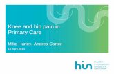 Knee and hip pain in Primary Care - Health Innovation Networkhealthinnovationnetwork.com/system/ckeditor_assets/attachments/28/... · Knee and hip pain in Primary Care Mike Hurley,