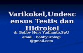 Varikokel - FK UWKS 2012 C | born to be a PROFESSIONAL … · PPT file · Web view2016-01-05 · Varikokel,Undescensus Testis dan Hidrokel dr Bobby Hery Yudhanto,SpU email : bobbyurologi