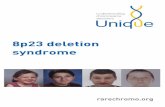8p23 deletion syndrome - rarechromo.org 8/8p23... · publishes a separate leaflet on this chromosome disorder, known as inv dup del 8p. Many more people, described in the medical