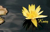 Kuning - pustaka.dhammacitta.org · Empat Kebenaran Mulia. Semoga dua puluh delapan Buddha, seperti Buddha Tamhankara dan Para Arahat ... menambah wawasan kita mengenai Meditasi dalam