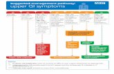 Suggested simplified guidance - necn.nhs. Non-invasive dyspepsia management pathway March 2018 Step