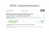DNA Topoisomerases - Center for Cancer Research · Levofloxacin. Interfacial inhibition. Topoisomerase drugs. Top 3. Decatenation. Top-3beta. Top3A and Top3B. Topoisomerases. ...