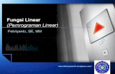Fungsi Linear (Pemrograman Linear) - febriyanto · Fungsi Linear (Pemrograman Linear) Febriyanto, SE, MM “ ... Linear Programming Metode Grafik Contoh. Masalah Product Mix. ...
