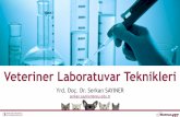 Veteriner Laboratuvar Teknikleri - biyokimya.vetbiyokimya.vet/documents/veteriner-laboratuvar-teknikleri/Laboratu... · makromineral, iİz element analizi, HPLC, hücre kültürü,
