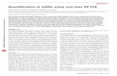 Quantiﬁcation of mRNA using real-time RT-PCR · Quantiﬁcation of mRNA using real-time RT-PCR Tania Nolan1, Rebecca E Hands2 & Stephen A Bustin2 1Sigma-Aldrich, Homeﬁeld Road,