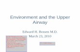 Environment and the Upper Airway - Duke University · Environment and the Upper Airway Edward H. Bossen M.D. March 23, 2010. UA = Upper Airway. He flies through a lot of the lecture.