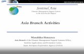 Sentinel-Asia Project for establishing Disaster Management ...unpan1.un.org/intradoc/groups/public/documents/apcity/unpan025931.pdf · Disaster Management Support System in the Asia-Pacific
