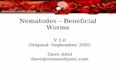 Nematodes – Beneficial Worms · Nematodes – Beneficial Worms V 1.0 Original: September 2005 Dave Aitel dave@immunitysec.com