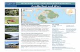 Focus Areas of Statewide Ecological … Areas of Statewide Ecological Significance: Acadia East and West 3 soil wetlands. Fire is an important factor in Acadia’s natural history.
