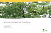 Ecology, silviculture and productivity · This manual, ‘Swietenia macrophylla King.: ecology, silviculture and productivity’, is one of a series of five manuals produced as part