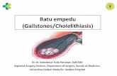 Batu empedu (Gallstones/Cholelithiasis) Empedu • Cairan empedu dihasilkan oleh hati. • Kandungan: 1. pigments empedu 2. garam empedu, 3. cholesterol dan 4. lecithin. • ’ Penampung