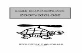 ZOOFYSIOLOGI - mit.biology.au.dkmit.biology.au.dk/~bfu/biogeo/Zoofys2003.pdf · BFU’s arkiver, fra dengang faget hed Biologi 2. Disse ældre opgaver er ikke baserede direkte på
