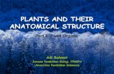 PLANTS AND THEIR ANATOMICAL STRUCTURE Resume …file.upi.edu/Direktori/FPMIPA/JUR._PEND._BIOLOGI/ADI_RAHMAT/PPOINT... · PLANTS AND THEIR ANATOMICAL STRUCTURE Part 2: ... Anatomi