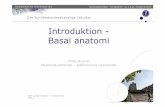 Introduktion - Basal anatomibrainin.dk/onewebmedia/PDF 1. & 2. Introduktion - Basal anatomi.pdf · Sted og dato (Indsæt --> Diasnummer) Dias 3 Hvad er anatomi? Ordet anatomi kommer