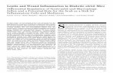 Differential Regulation of Neutrophil and Macrophage Inﬂux ...diabetes.diabetesjournals.org/content/diabetes/52/11/2821.full.pdf · nt 541–814 (for tumor necrosis factor [TNF]-