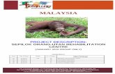 MALAYSIA - travellersvolunteers.org · Malaysia – PROJECT DESCRIPTION – Sepilok Orang-Utan Rehabilitation Centre Page 4 of 18 mal-pd-orang-utans –September 14 Issue 32 to human