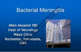 Bacterial Meningitis Conference Addis Ababa, Ethiopia, on ... · Addis Ababa, Ethiopia, on February 27-28, 2010. Bacterial Meningitis ... The meningitis belt of sub-Saharan Africa,