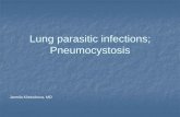 Lung parasitic infections Pneumocystosis - tropy.lf1.cuni.cz parasitic infections.pdf · increased risk of pneumothorax . Clinics II ... Anamnesis Living with or ...