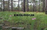 EKOLOGIJAbiologija.vet.bg.ac.rs/Katedra/Zoologija/(11)EKOLOGIJA3.pdf · pasivno nošeni pokretima vode (fitoplankton i zooplankton) NEKTON – organizmi koji se aktivno kreću u vodi