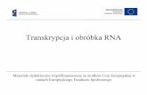 Transkrypcja i obróbka RNA - chemiabioorganiczna.polsl.pl · Transkrypcja jest procesem enzymatycznym katalizowanym przez polimerazę RNA. Polimeraza RNA Transkrybowany fragment