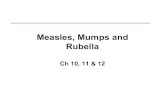 Measles, Mumps and Rubella - courses.washington.edu · Measles (Attenuvax) Merck Mumps Jeryl Lynn Strain Merck Rubella (Meruvax) Merck MMR-II Merck Measles virus >1,000 TCID 50 >1,000