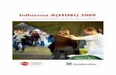 Influensa A(H1N1) 2009 - msb.seH1N1)_2009.pdf · struktur. Rapporten inleds med en sammanfattning följd av ett diskussionskapitel och utvärderingens slutsatser. Därefter kommer